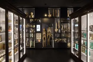 Ausstellung „Strophen der Anatomie: eine Lyrikintervention im Anatomiemuseum der RSU“
